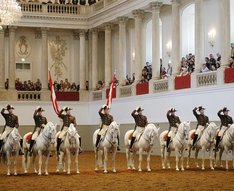 Знаменитые липпицианские лошади в Испанской школе верховой езды